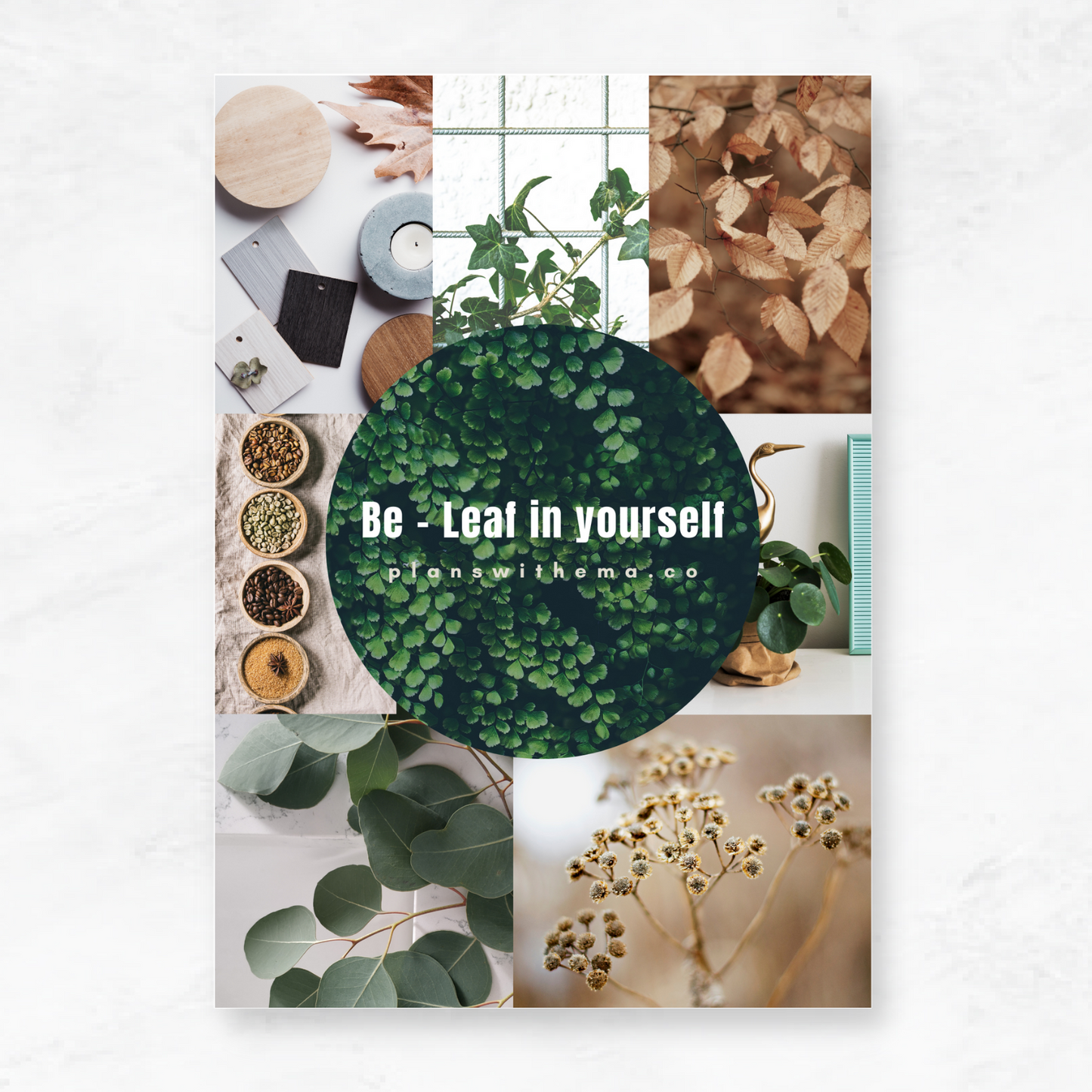 Be-Leaf | Planner Dashboard