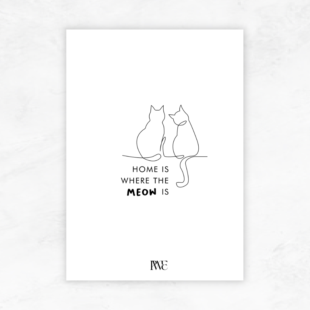 Meow | Planner Dashboard